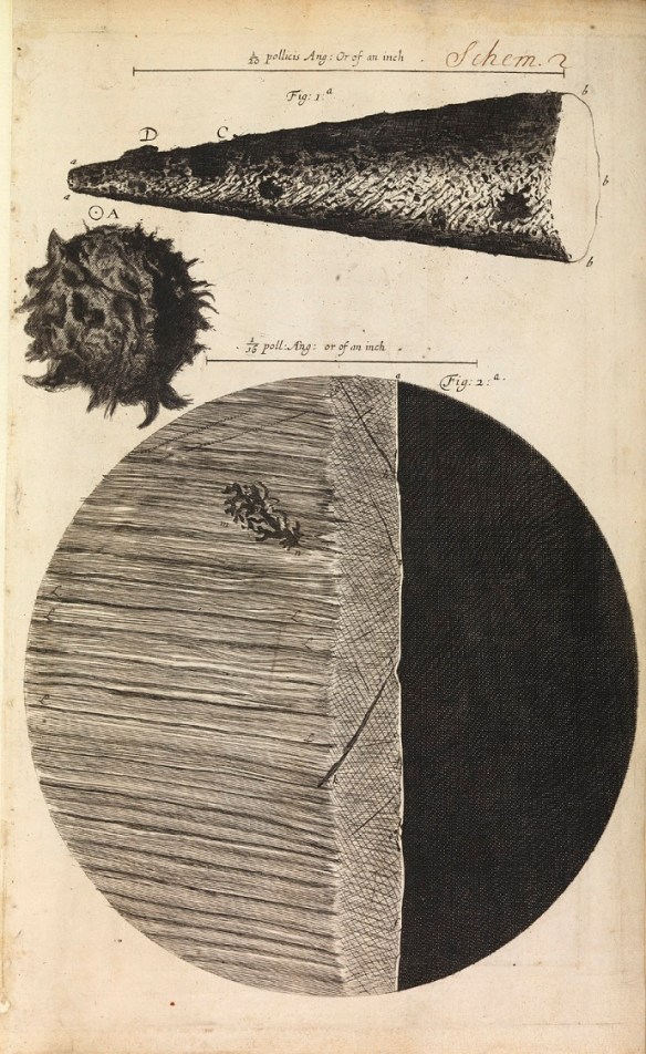 Magnified needle-tip, printed full-stop and razor's edge from Hooke's Micrographia (London, 1665).