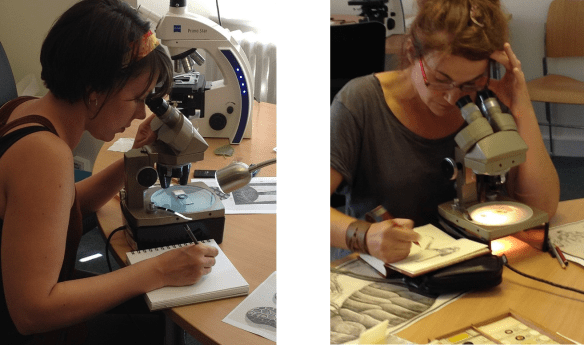 21 July 2014 Alice and Shelley