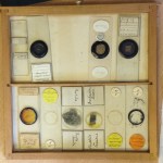 Selection of antique microscope slides